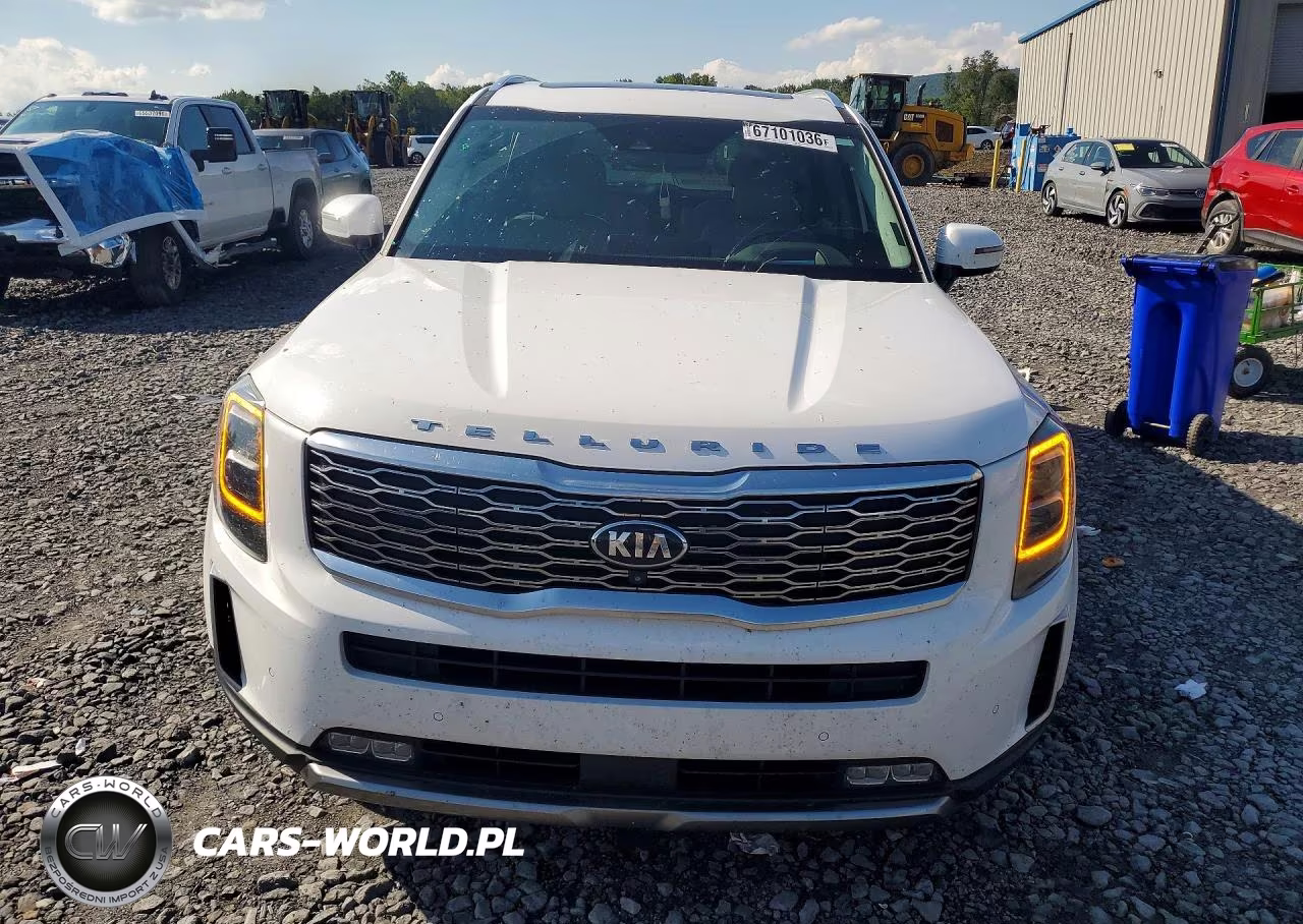 2021 Kia Telluride Sx VIN:5XYP5DHC9MG175305 - 5