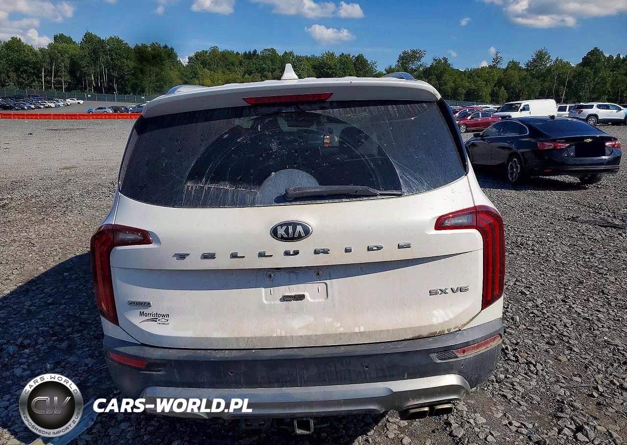 2021 Kia Telluride Sx VIN:5XYP5DHC9MG175305 - 6