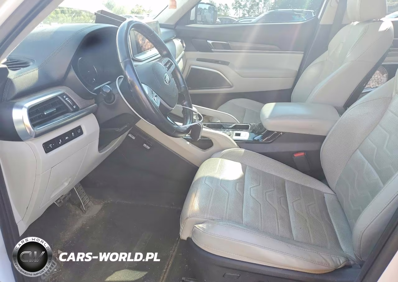 2021 Kia Telluride Sx VIN:5XYP5DHC9MG175305 - 7