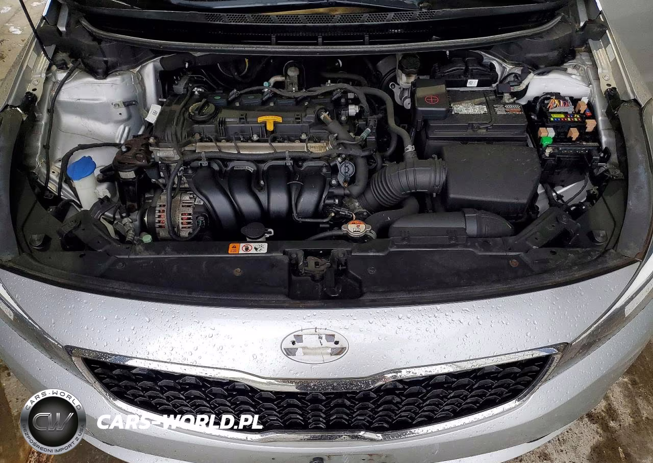 2018 Kia Forte Lx VIN:3KPFL4A73JE253486 - 11