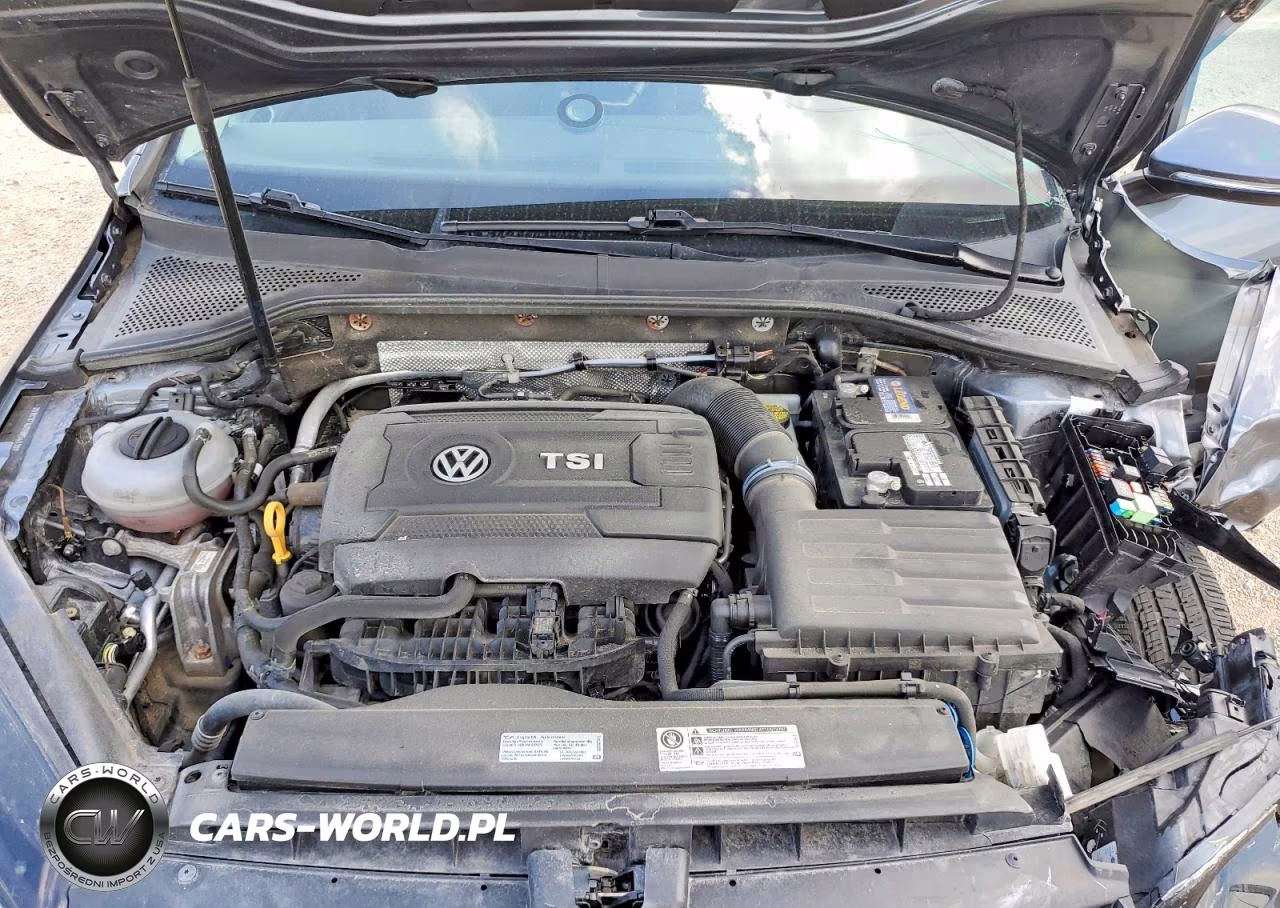 2017 Volkswagen Golf Sportwagen S VIN:3VWC17AU5HM541197 - 11