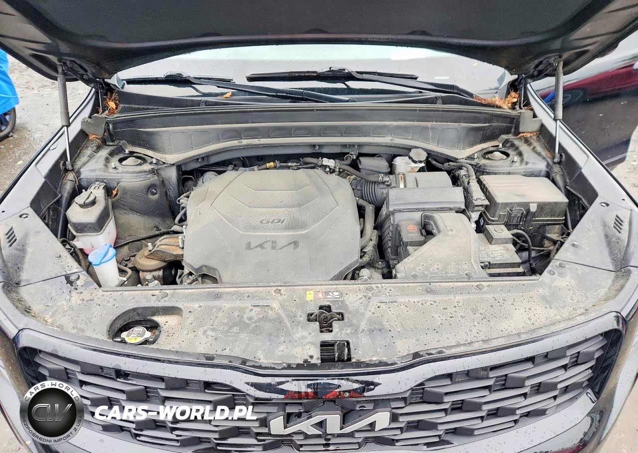 2022 Kia Telluride Sx VIN:5XYP5DHC5NG254701 - 12