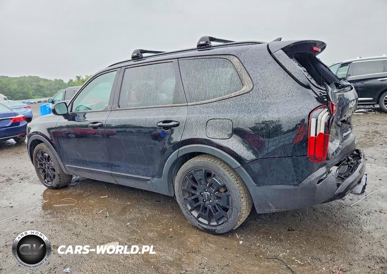 2022 Kia Telluride Sx VIN:5XYP5DHC5NG254701 - 2
