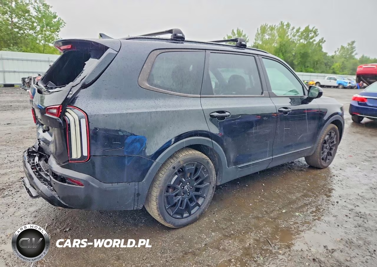 2022 Kia Telluride Sx VIN:5XYP5DHC5NG254701 - 3