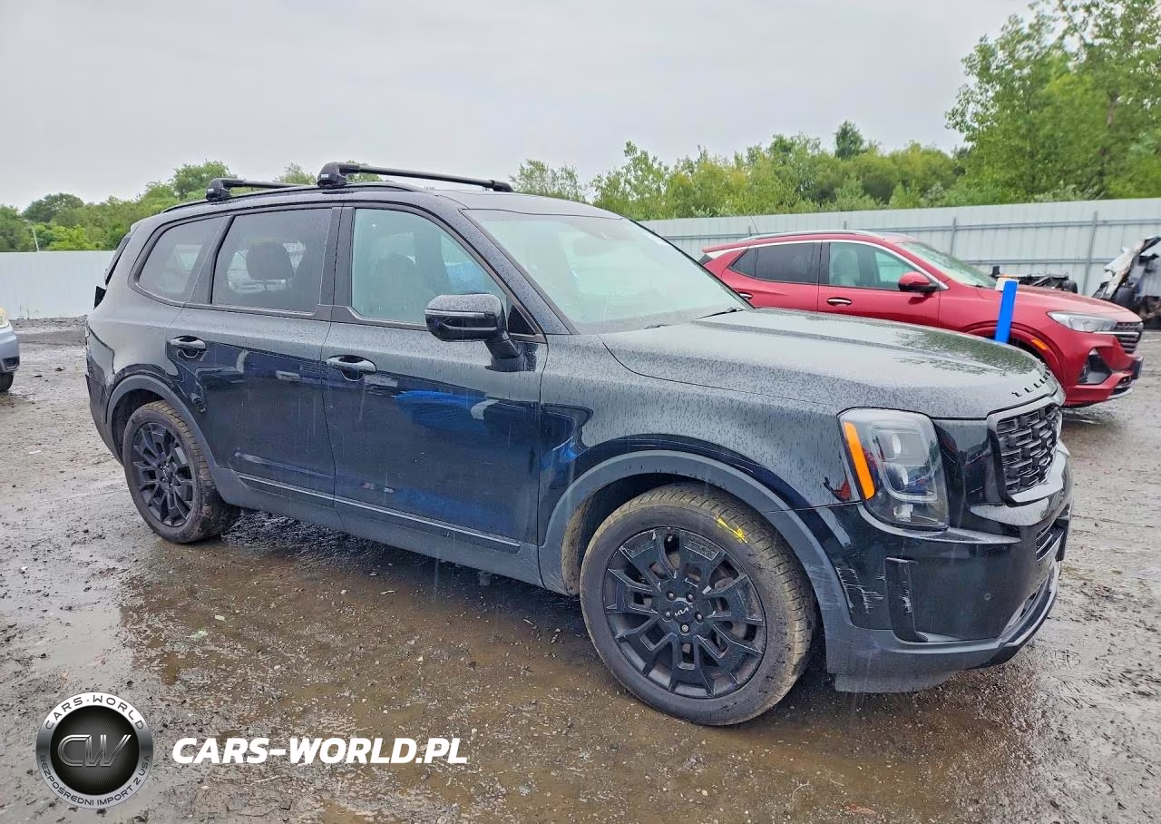 2022 Kia Telluride Sx VIN:5XYP5DHC5NG254701 - 4