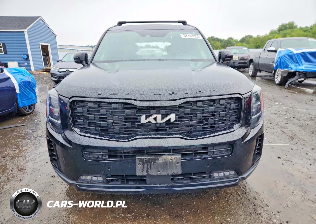 2022 Kia Telluride Sx VIN:5XYP5DHC5NG254701 - 5