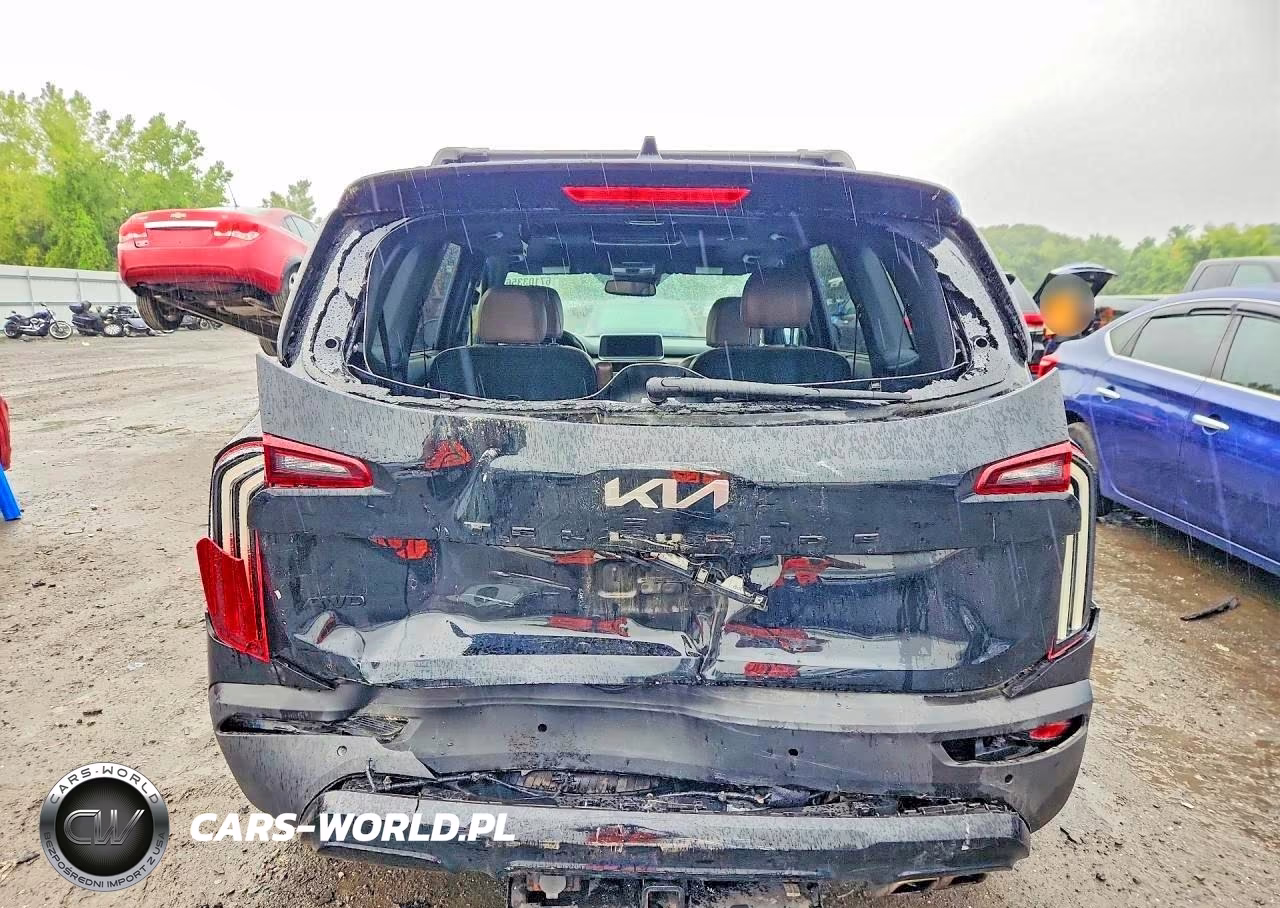 2022 Kia Telluride Sx VIN:5XYP5DHC5NG254701 - 6