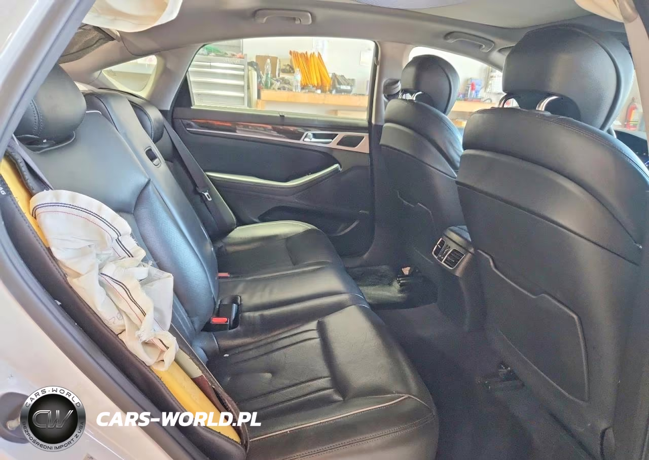 2015 Hyundai Genesis 3.8L VIN:KMHGN4JEXFU101237 - 10