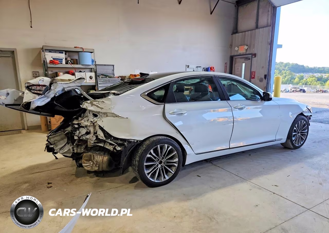 2015 Hyundai Genesis 3.8L VIN:KMHGN4JEXFU101237 - 3