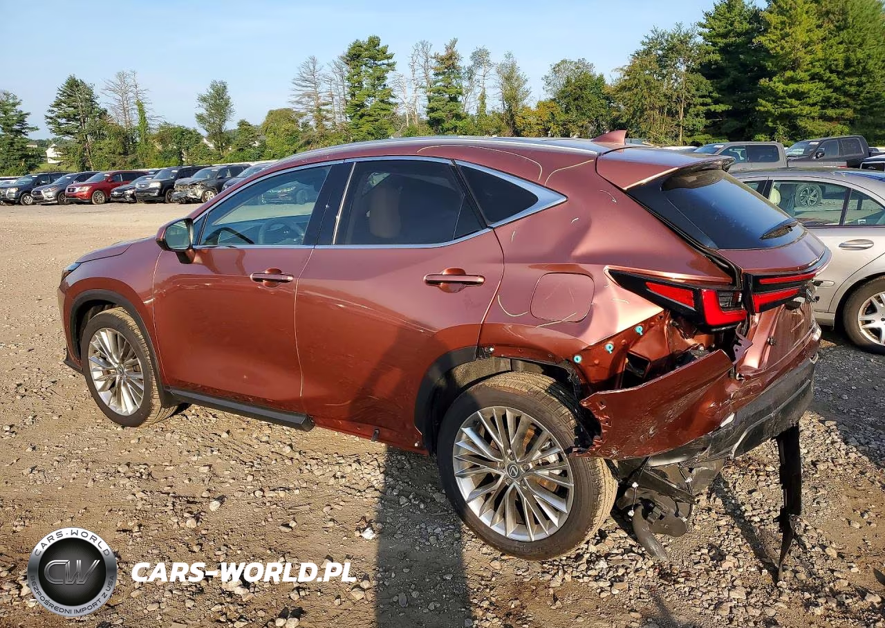2026 Lexus Nx 350 Luxury VIN:2T2HGCEZ2TC107208 - 2