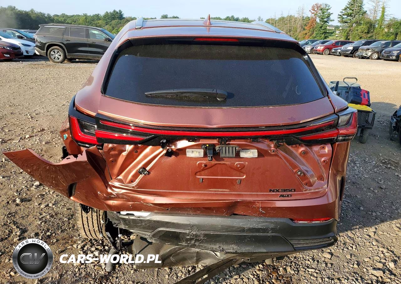 2026 Lexus Nx 350 Luxury VIN:2T2HGCEZ2TC107208 - 6