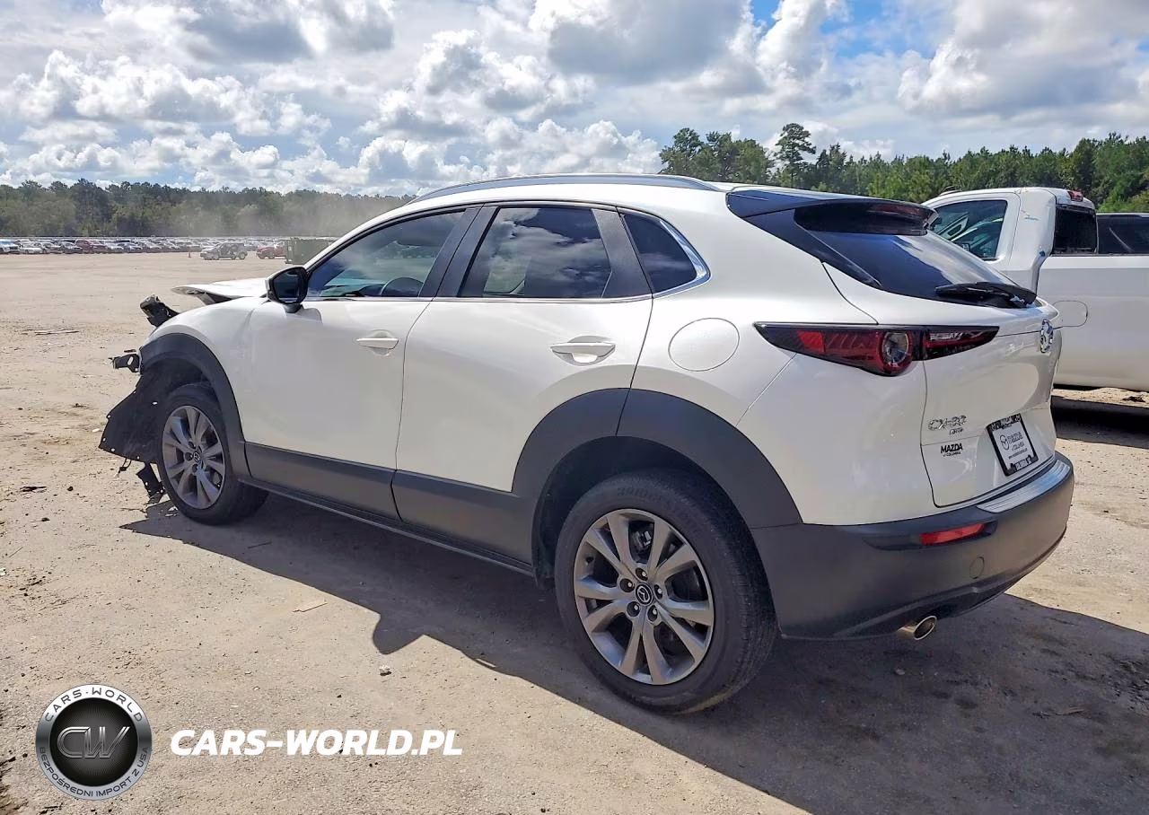 2025 Mazda Cx-30 Preferred VIN:3MVDMBCM0SM816740 - 2