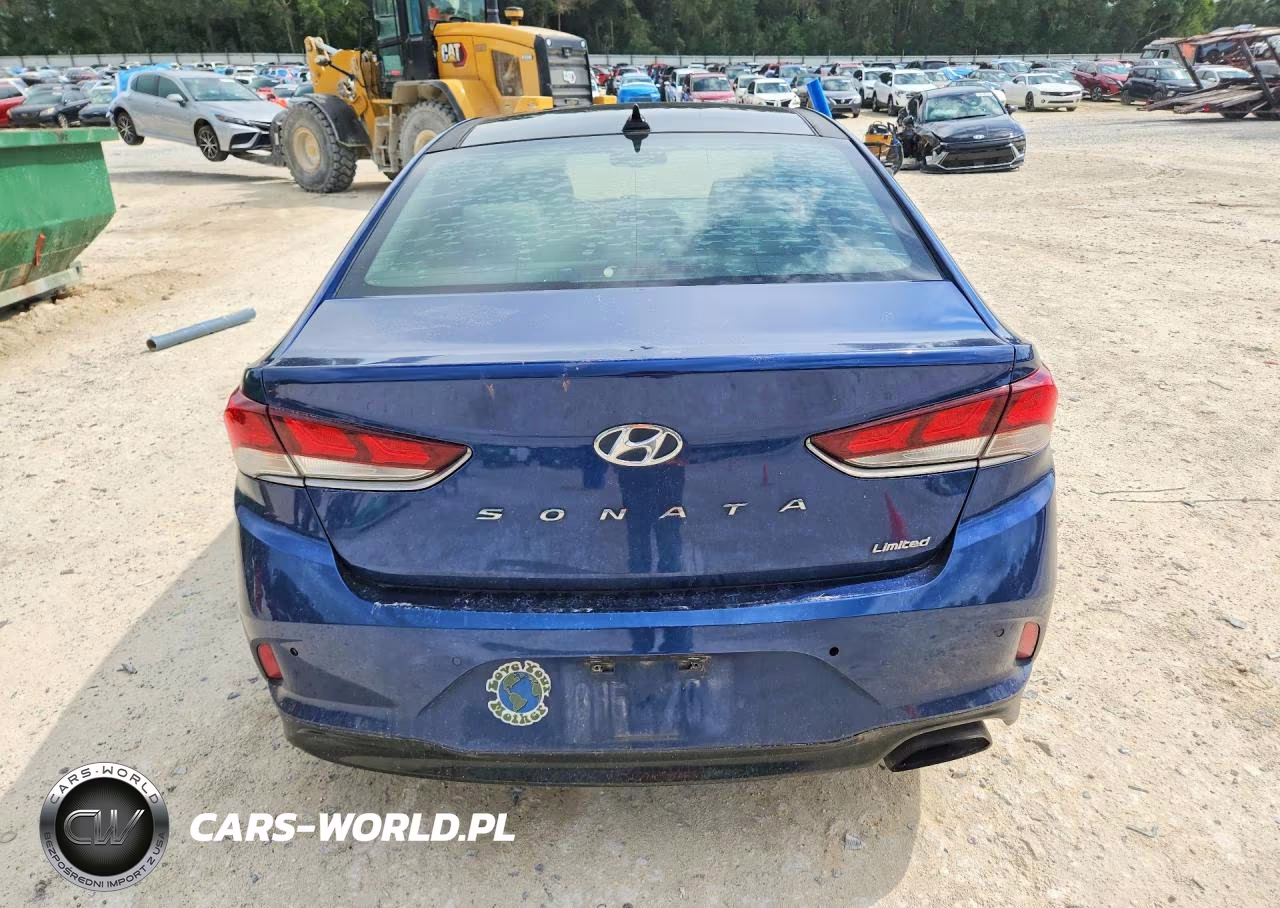 2019 Hyundai Sonata Limited VIN:5NPE34AF4KH739935 - 6