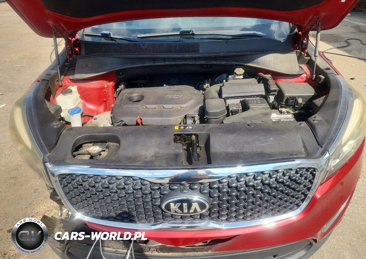 2017 Kia Sorento Lx VIN:5XYPG4A36HG322173 - 12