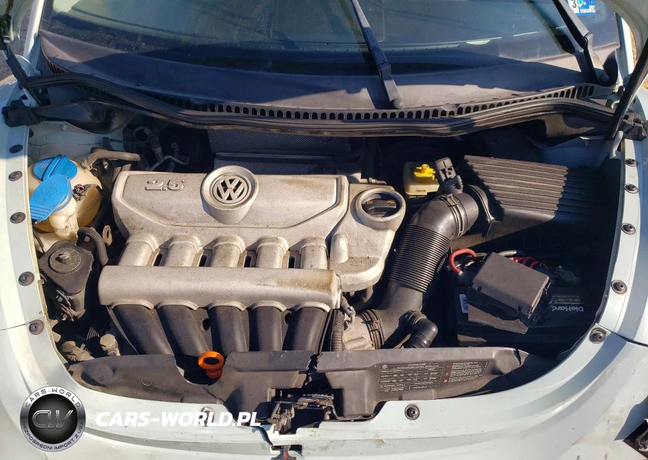 2010 Volkswagen New Beetle VIN:3VWPG3AGXAM035132 - 11