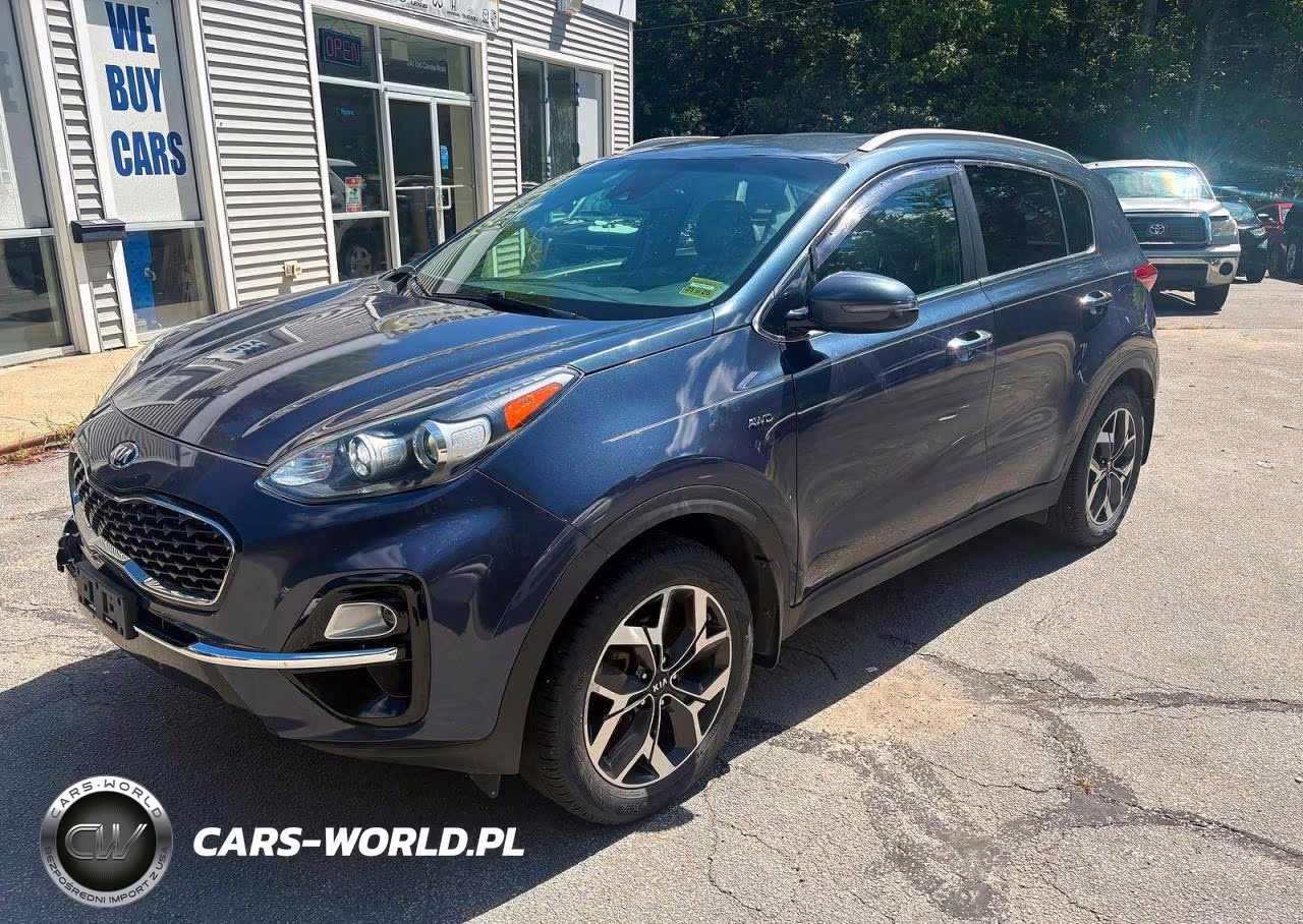 2020 Kia Sportage E VIN:KNDPNCAC4L7688249 - 2