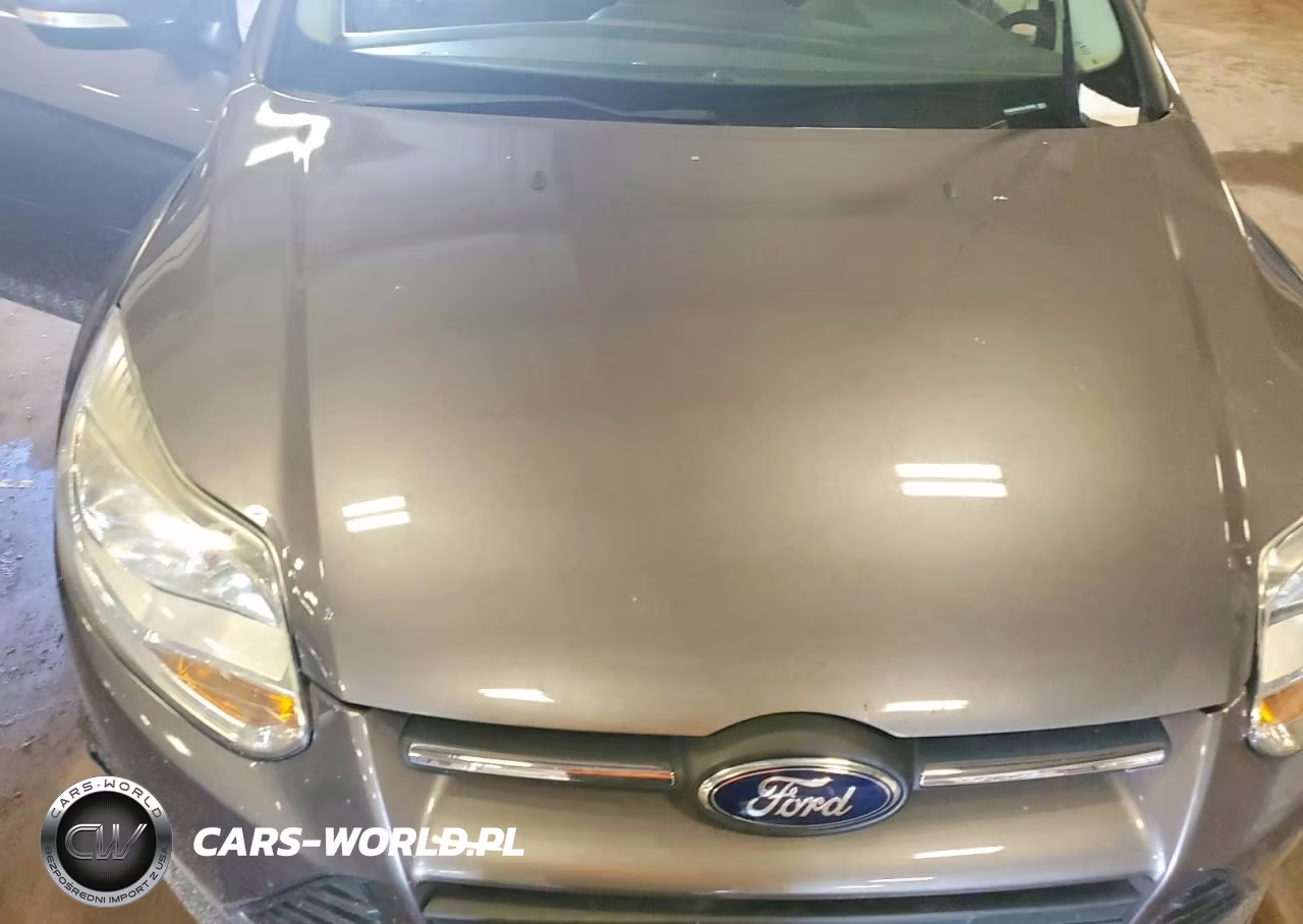 2014 Ford Focus Se VIN:1FADP3K21EL108328 - 11