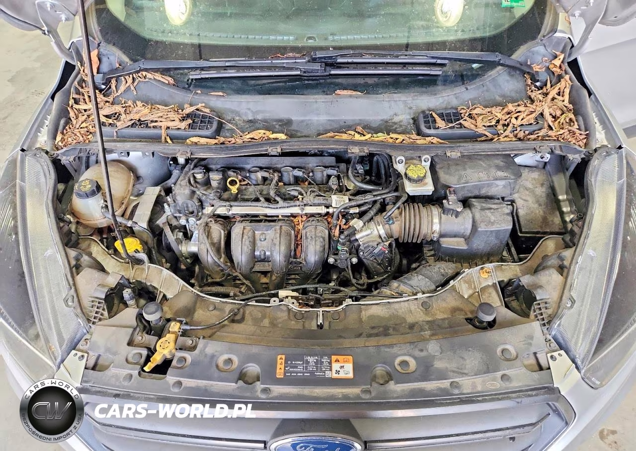 2019 Ford Escape S VIN:1FMCU0F75KUC47026 - 12