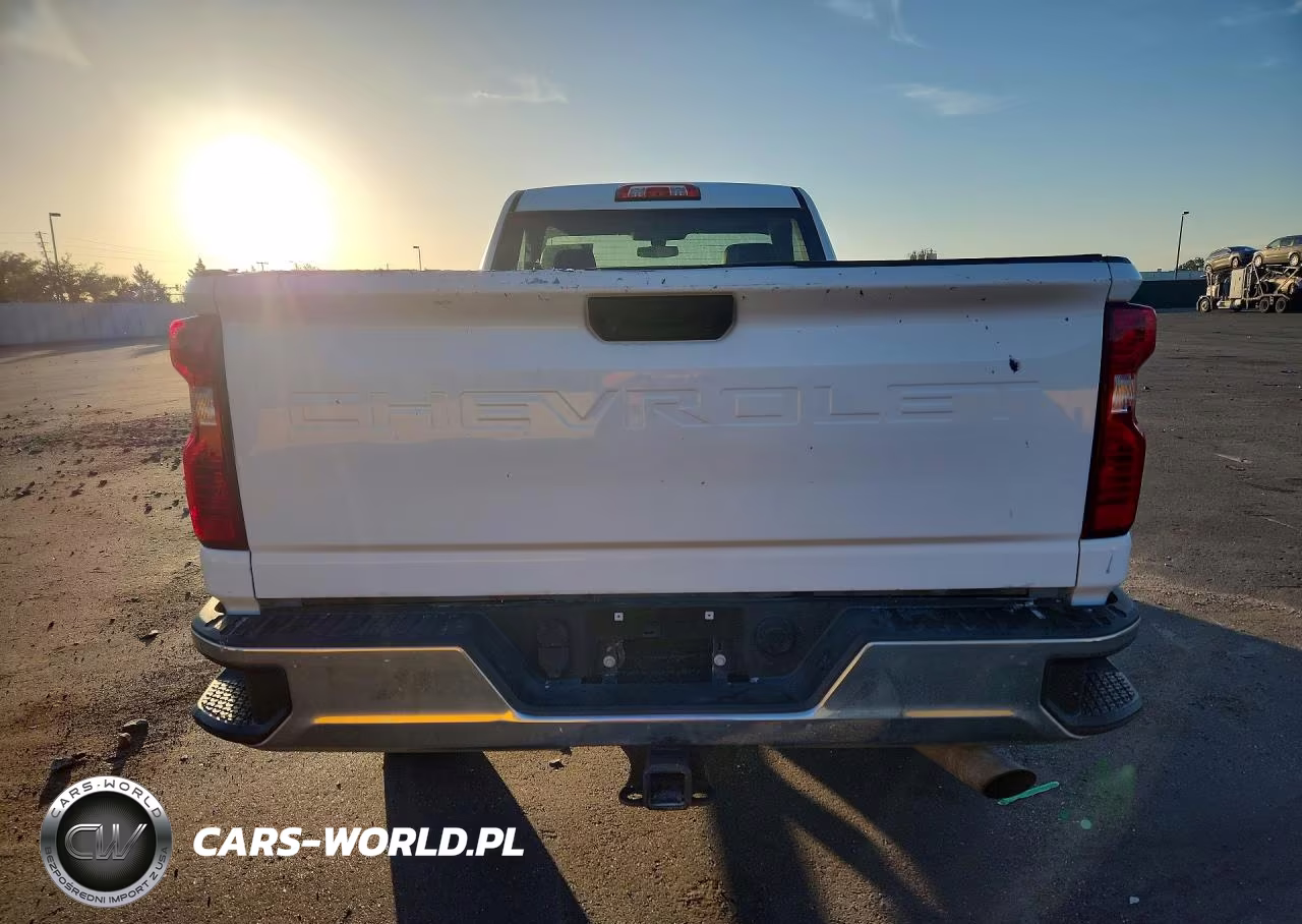2021 Chevrolet Silverado C2500 Heavy Duty VIN:1GC0WLE71MF234298 - 6
