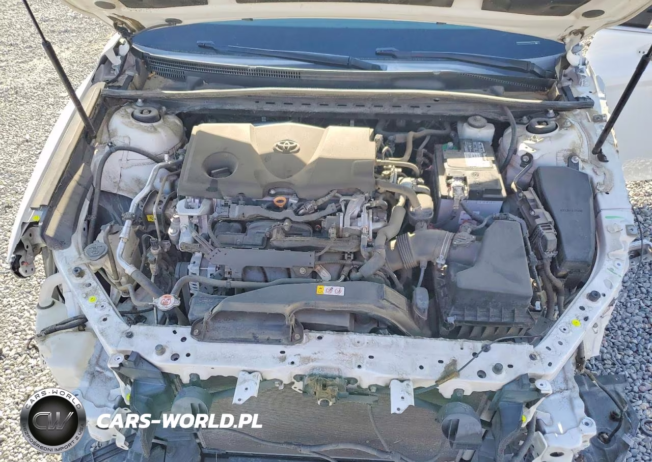 2020 Toyota Camry Le VIN:4T1L11AKXLU338594 - 11