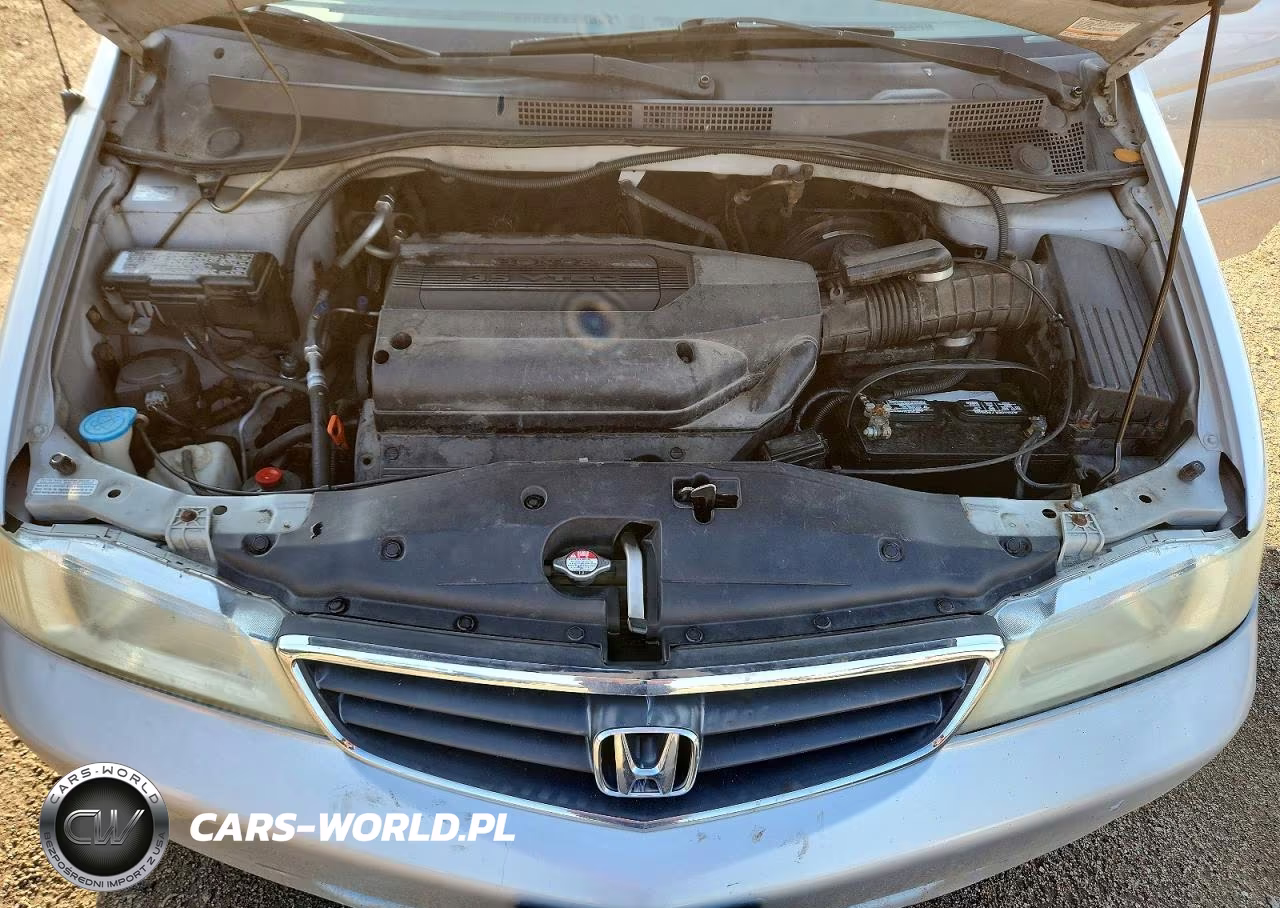 2004 Honda Odyssey Exl VIN:5FNRL18984B072188 - 11