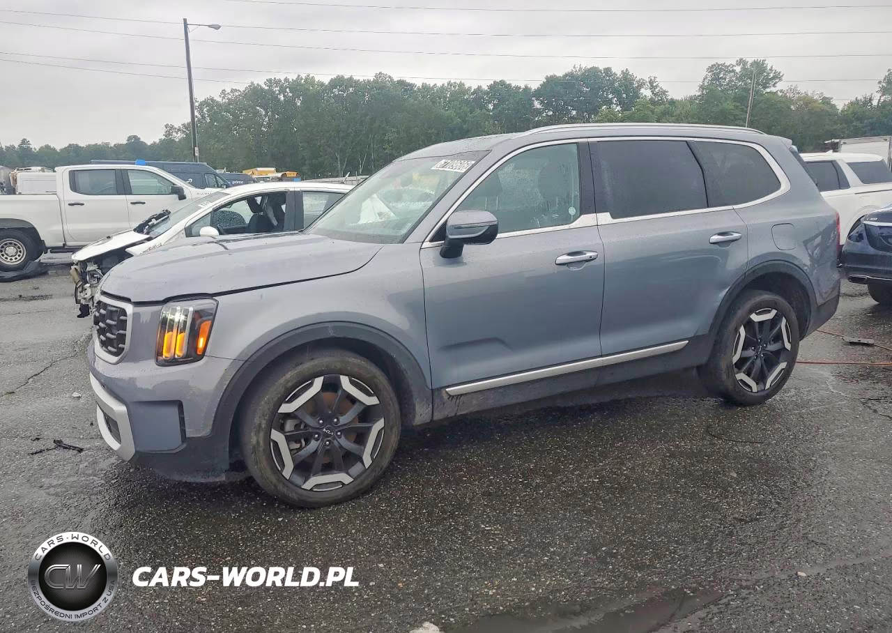 2025 Kia Telluride S VIN:5XYP64GC7SG629157 - 1