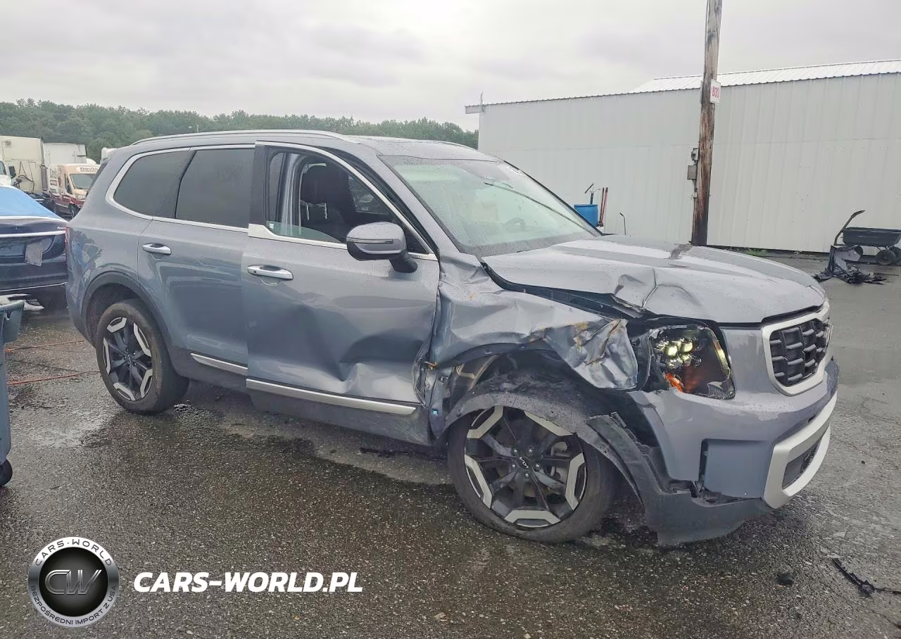 2025 Kia Telluride S VIN:5XYP64GC7SG629157 - 4