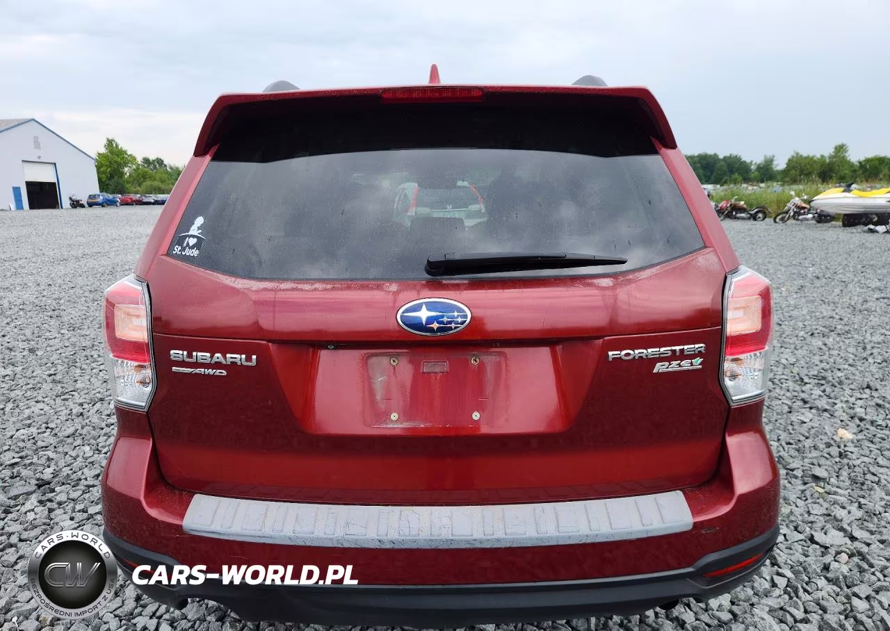 2017 Subaru Forester 2.5I Premium VIN:JF2SJAEC1HH549123 - 6