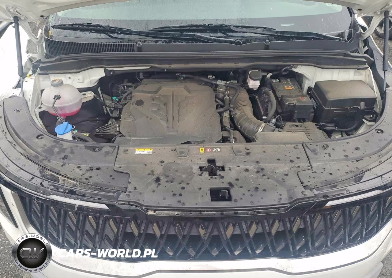 2025 Kia Carnival Lxs VIN:KNDNB5K37S6546220 - 12
