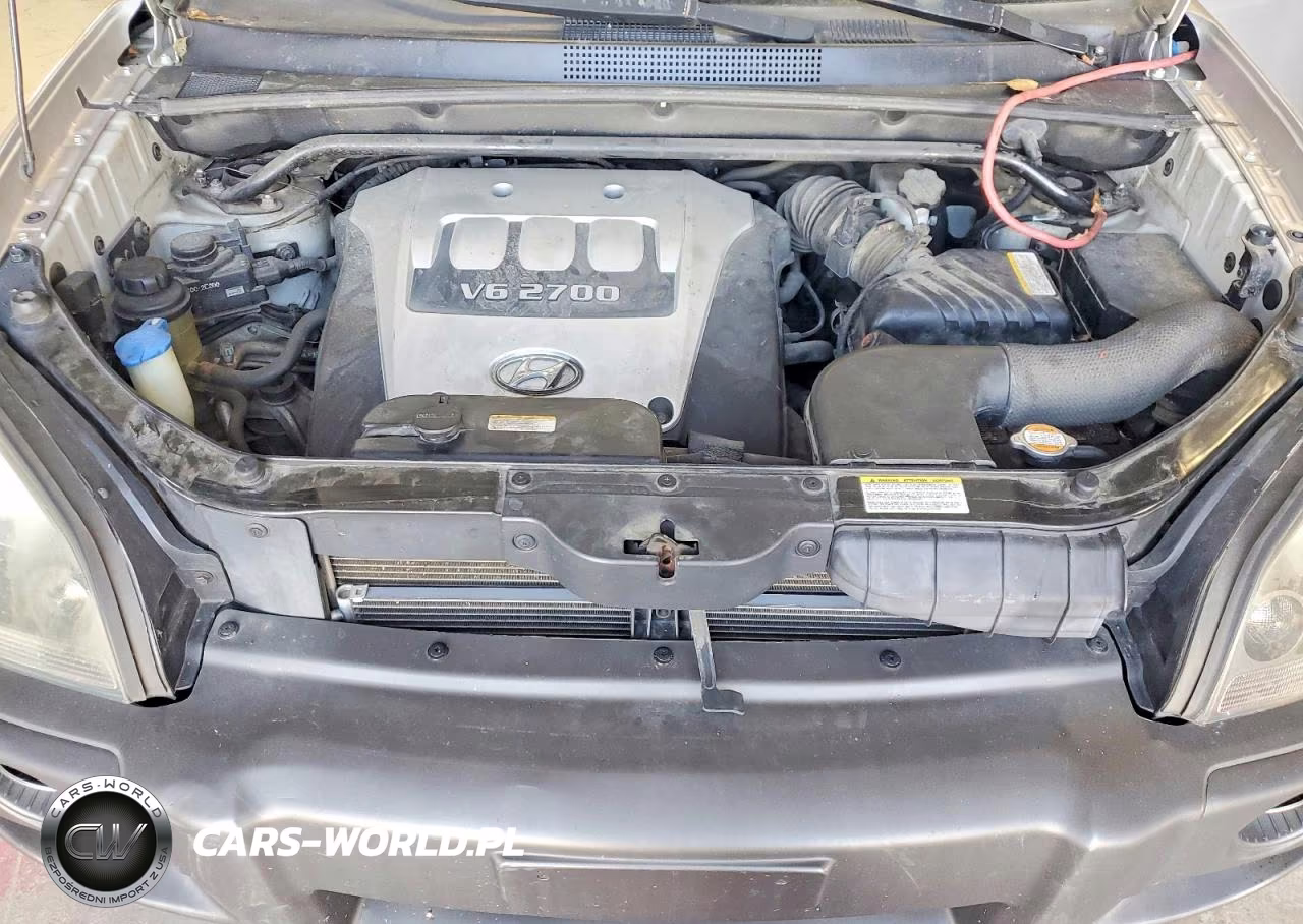 2006 Hyundai Tucson Gls VIN:KM8JN12D16U254177 - 11