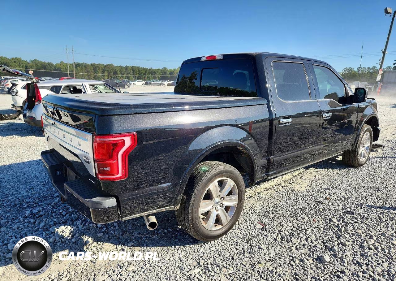 2015 Ford F150 Supercrew VIN:1FTEW1EF0FFA73690 - 3