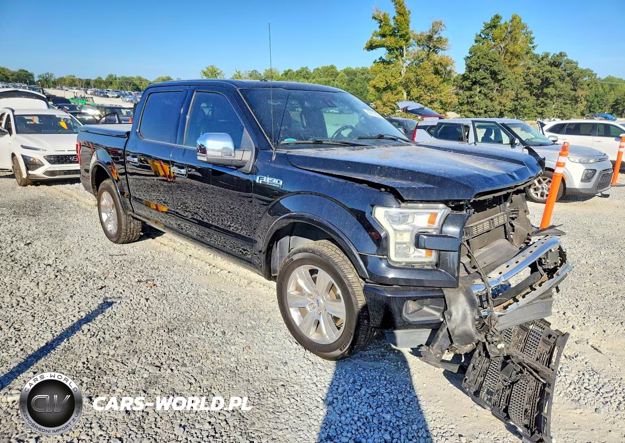 2015 Ford F150 Supercrew VIN:1FTEW1EF0FFA73690 - 4
