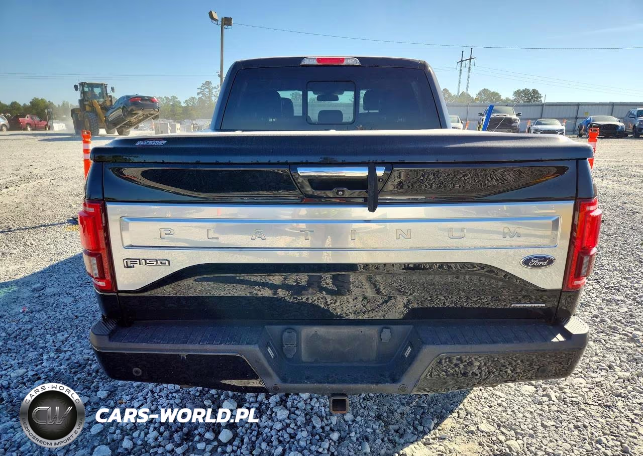 2015 Ford F150 Supercrew VIN:1FTEW1EF0FFA73690 - 6