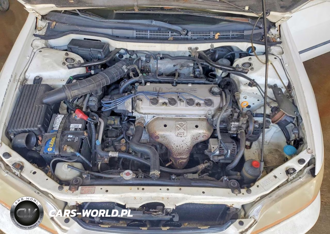 1998 Honda Accord Lx VIN:1HGCG5646WA263520 - 11