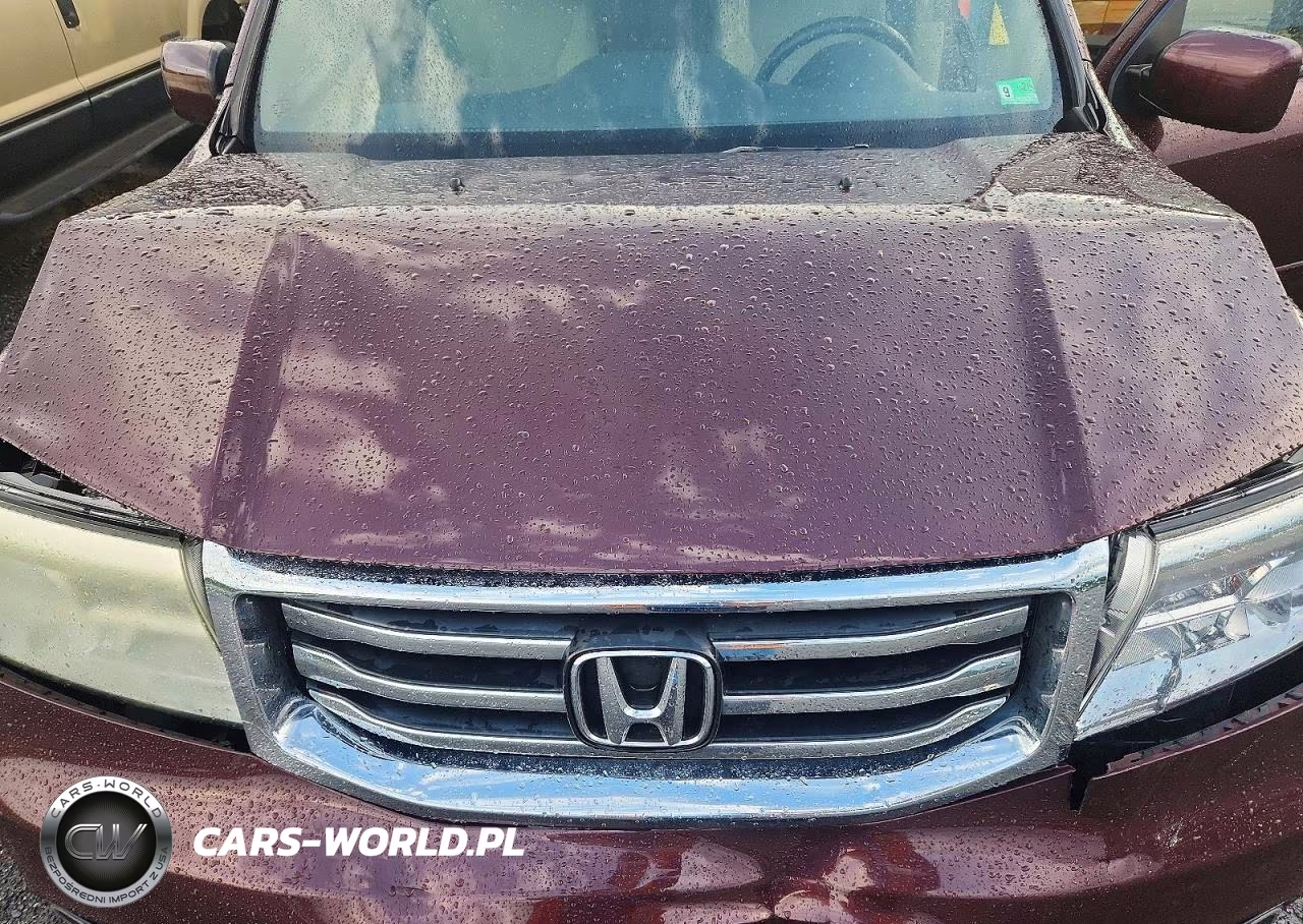 2014 Honda Pilot Ex VIN:5FNYF4H48EB029691 - 12