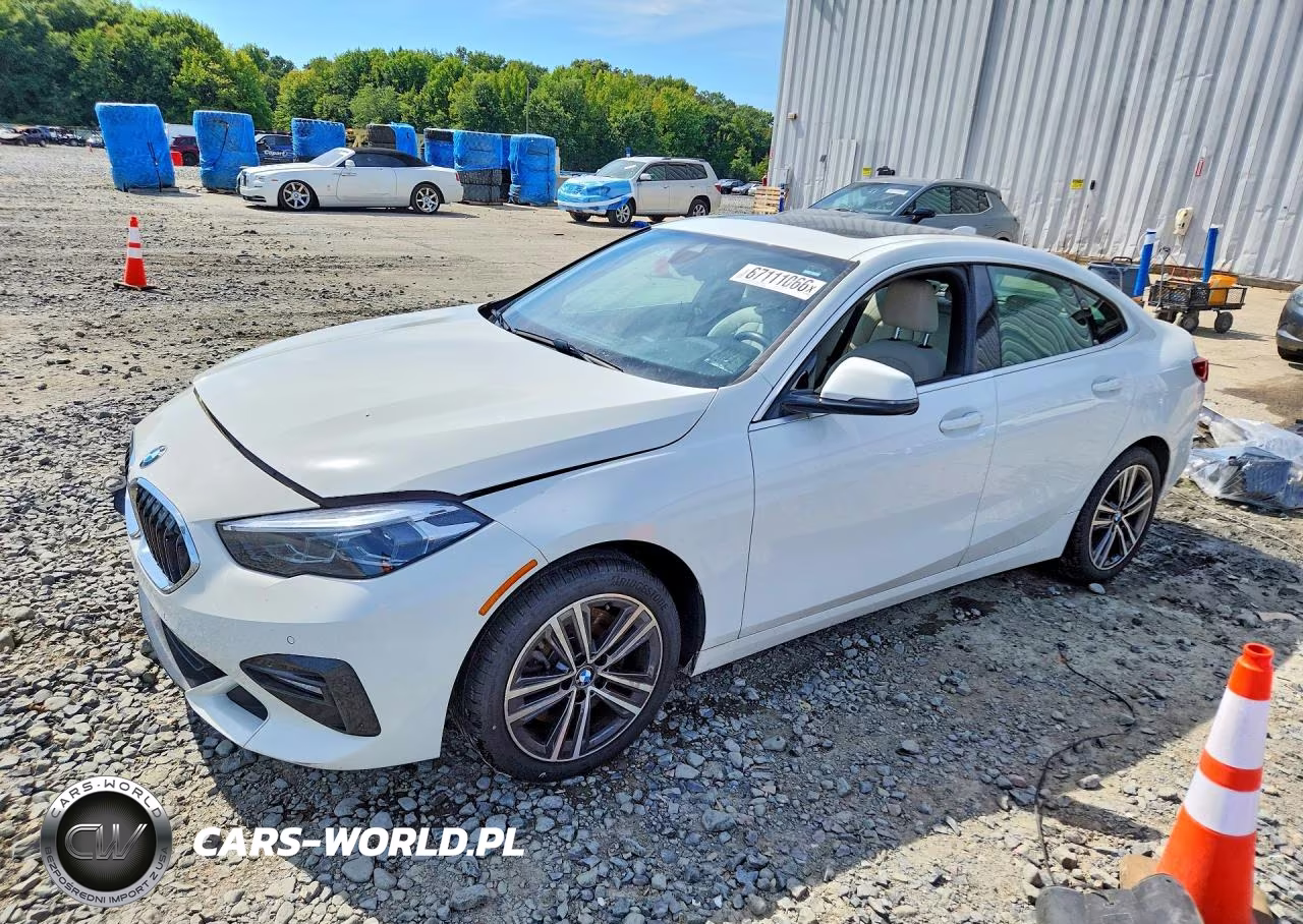 2020 BMW 228Xi VIN:WBA73AK0XL7G14249 - 1