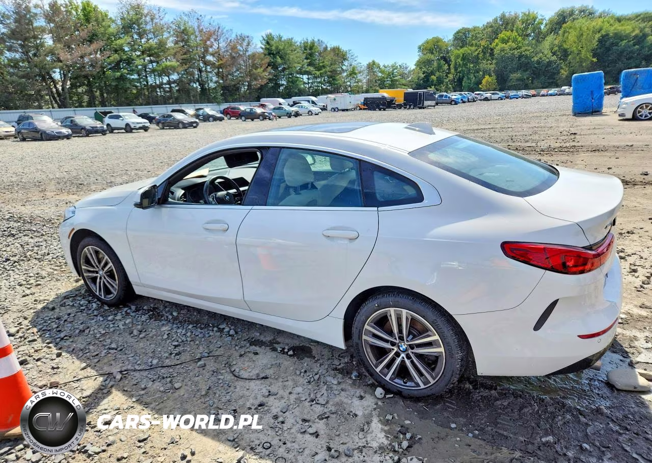 2020 BMW 228Xi VIN:WBA73AK0XL7G14249 - 2
