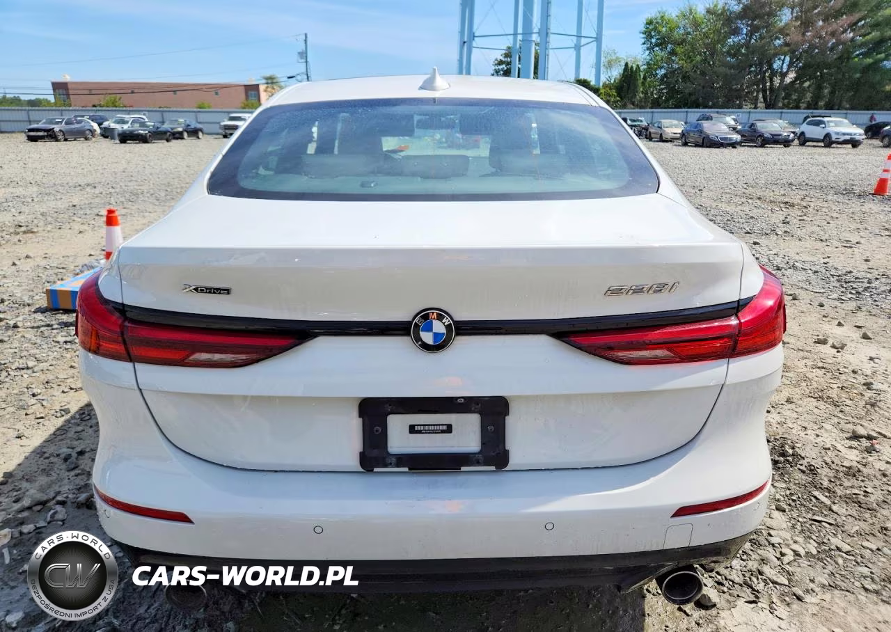 2020 BMW 228Xi VIN:WBA73AK0XL7G14249 - 6