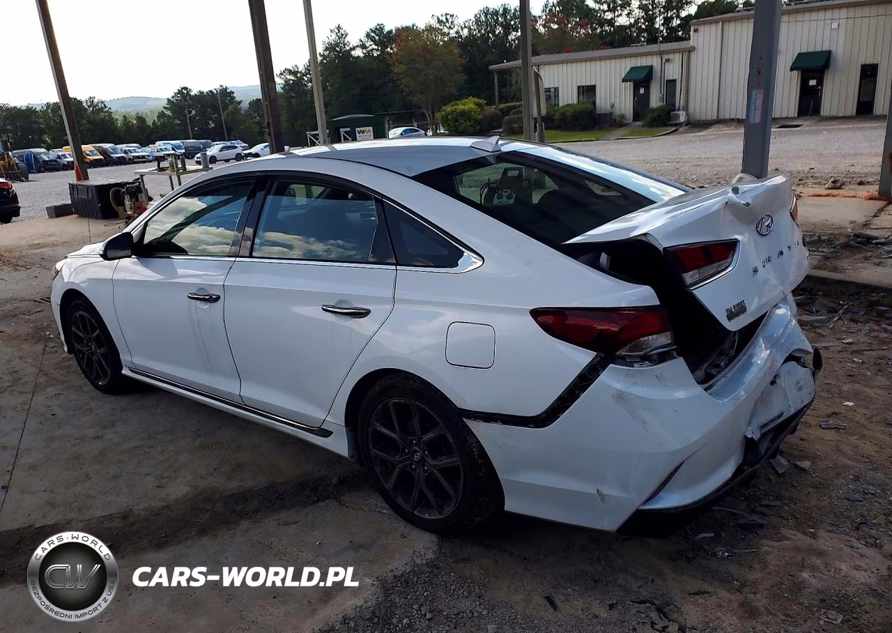 2018 Hyundai Sonata Sport 2.0T VIN:5NPE34AB3JH618020 - 2