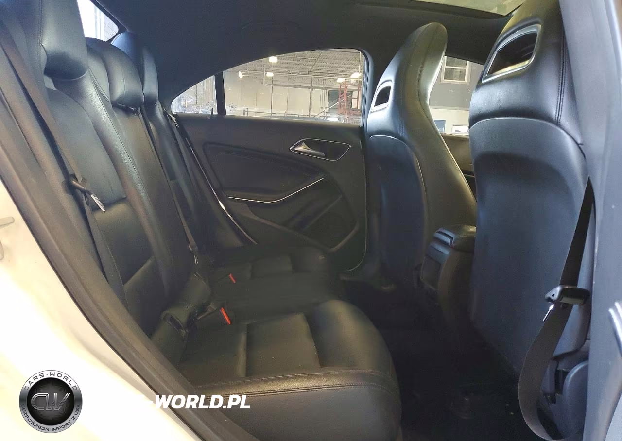 2014 Mercedes-Benz Cla 250 VIN:WDDSJ4EB8EN105117 - 10