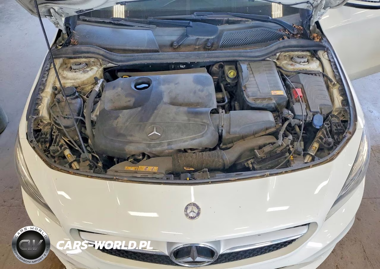 2014 Mercedes-Benz Cla 250 VIN:WDDSJ4EB8EN105117 - 11