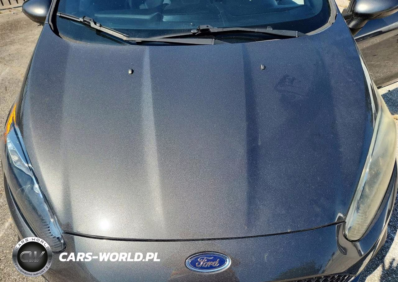 2017 Ford Fiesta St VIN:3FADP4GX2HM140072 - 11