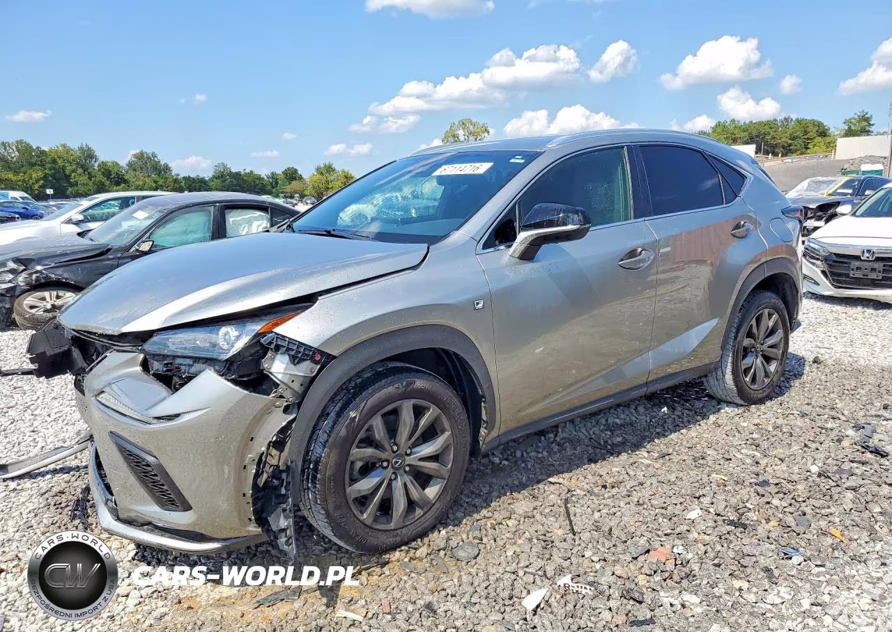 2020 Lexus Nx 300 F Sport