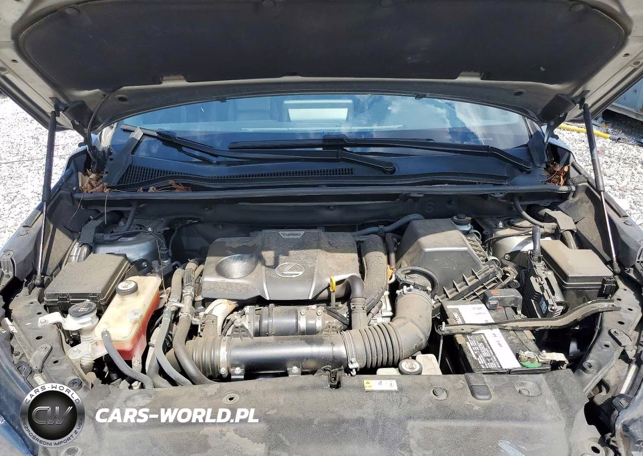 2020 Lexus Nx 300 F Sport VIN:JTJJARBZ1L5016911 - 12