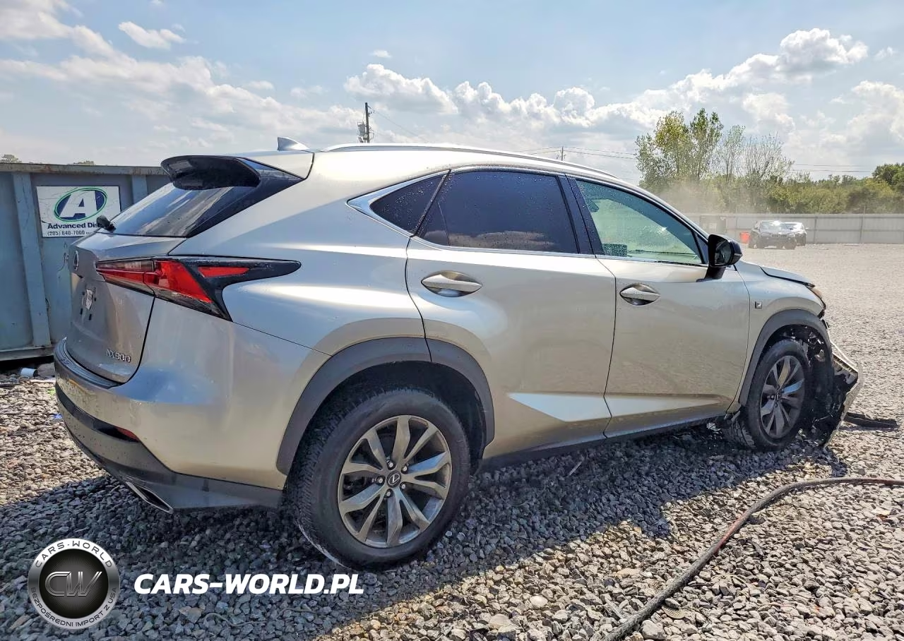 2020 Lexus Nx 300 F Sport VIN:JTJJARBZ1L5016911 - 3