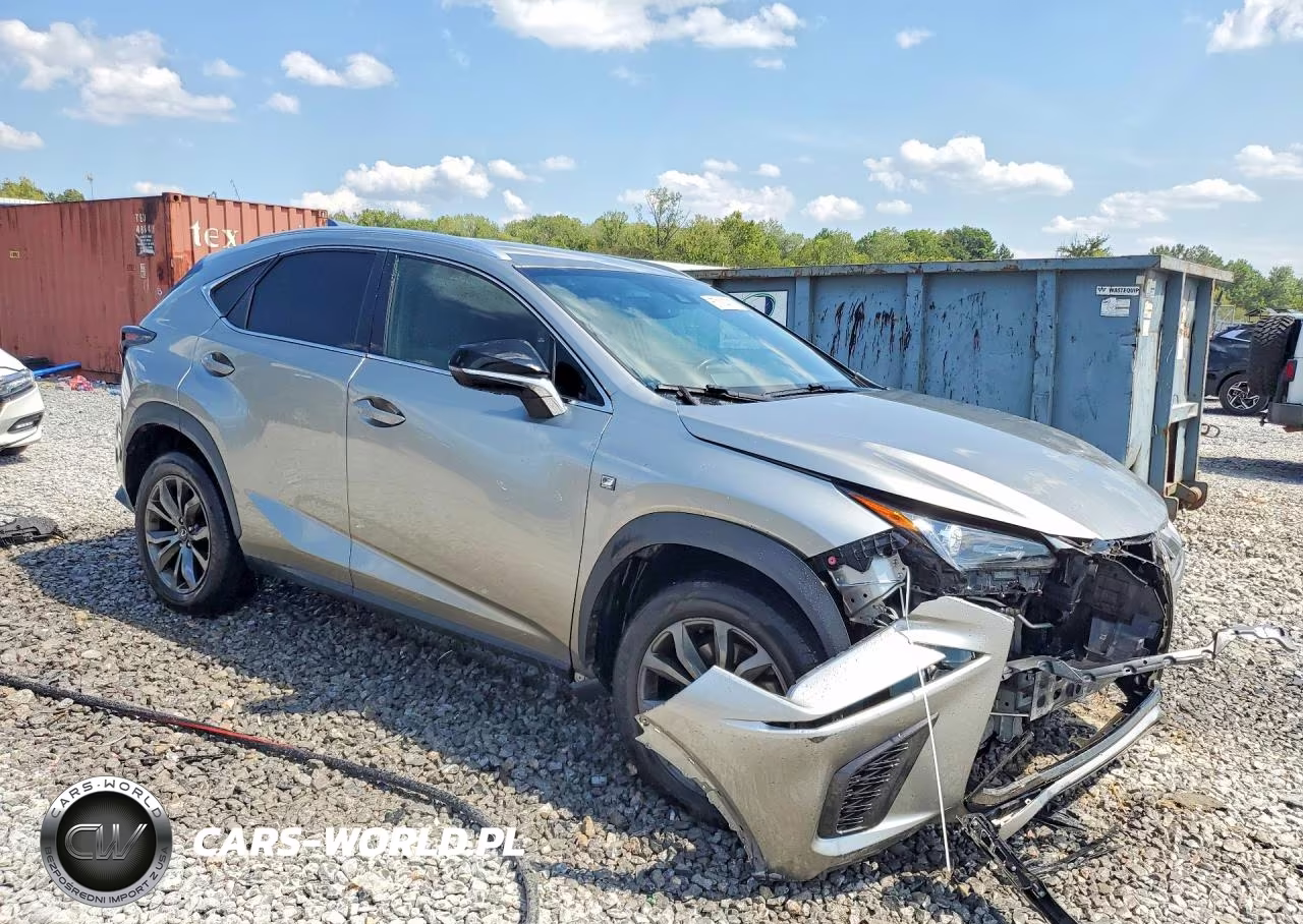 2020 Lexus Nx 300 F Sport VIN:JTJJARBZ1L5016911 - 4