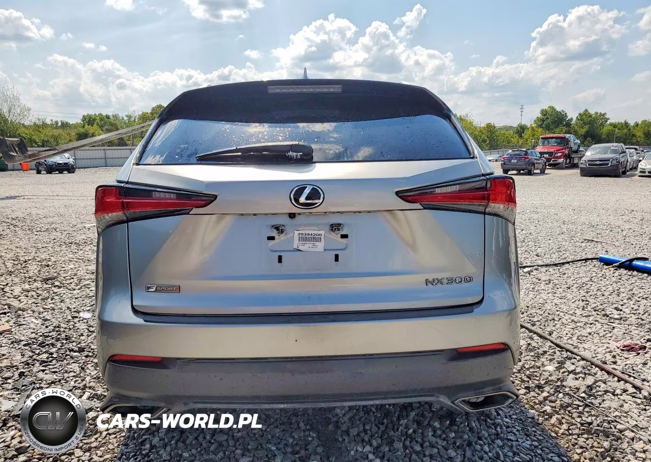 2020 Lexus Nx 300 F Sport VIN:JTJJARBZ1L5016911 - 6
