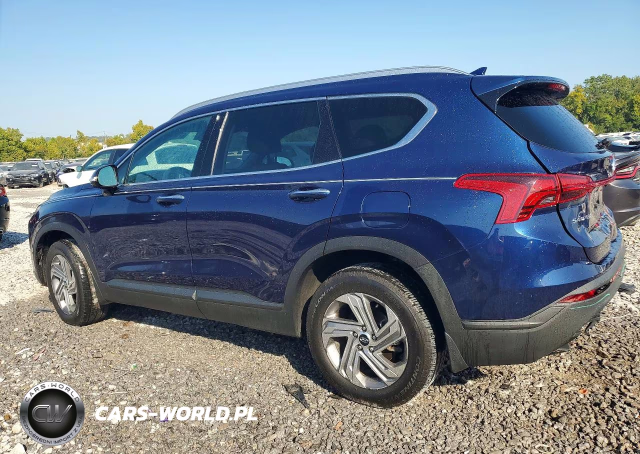 2023 Hyundai Santa Fe Sel VIN:5NMS24AJ3PH557383 - 2