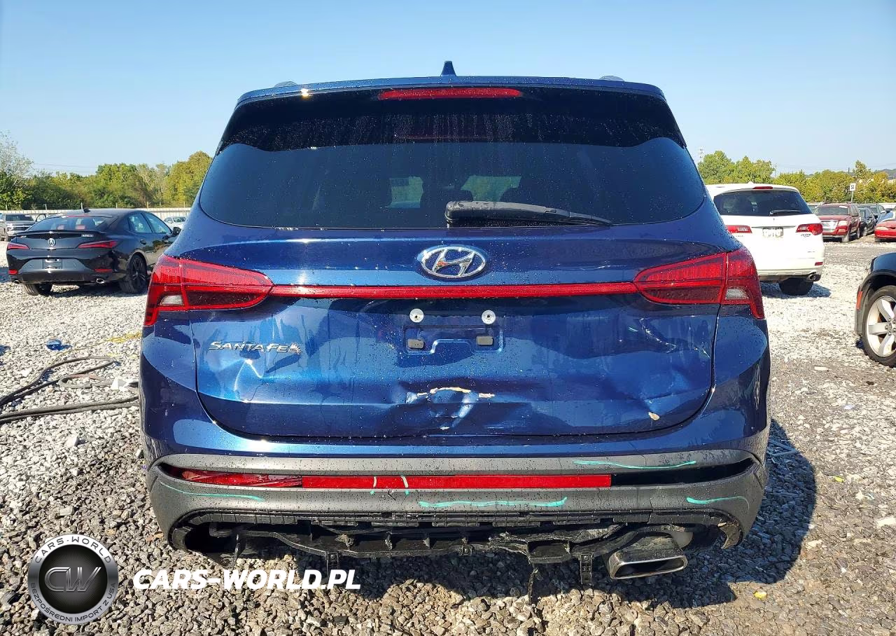2023 Hyundai Santa Fe Sel VIN:5NMS24AJ3PH557383 - 6