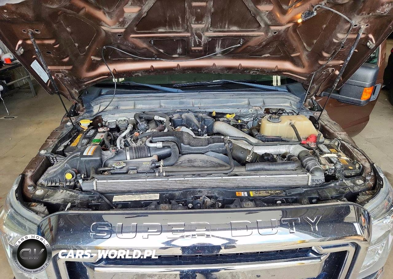 2011 Ford F350 Super Duty VIN:1FT8X3BT2BEA66921 - 11